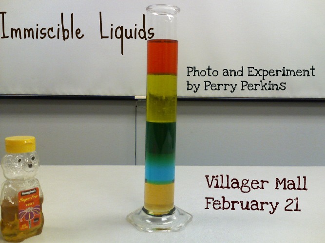 immiscible definition What is